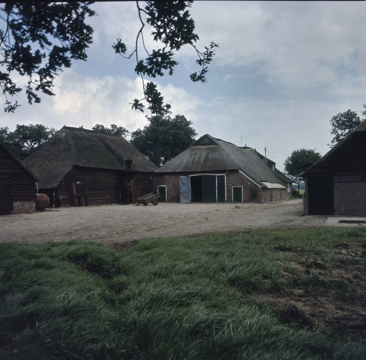 Photo showing: Boerderijen/ Rieten dak: Overzicht met schuren op het boerderijcomplex