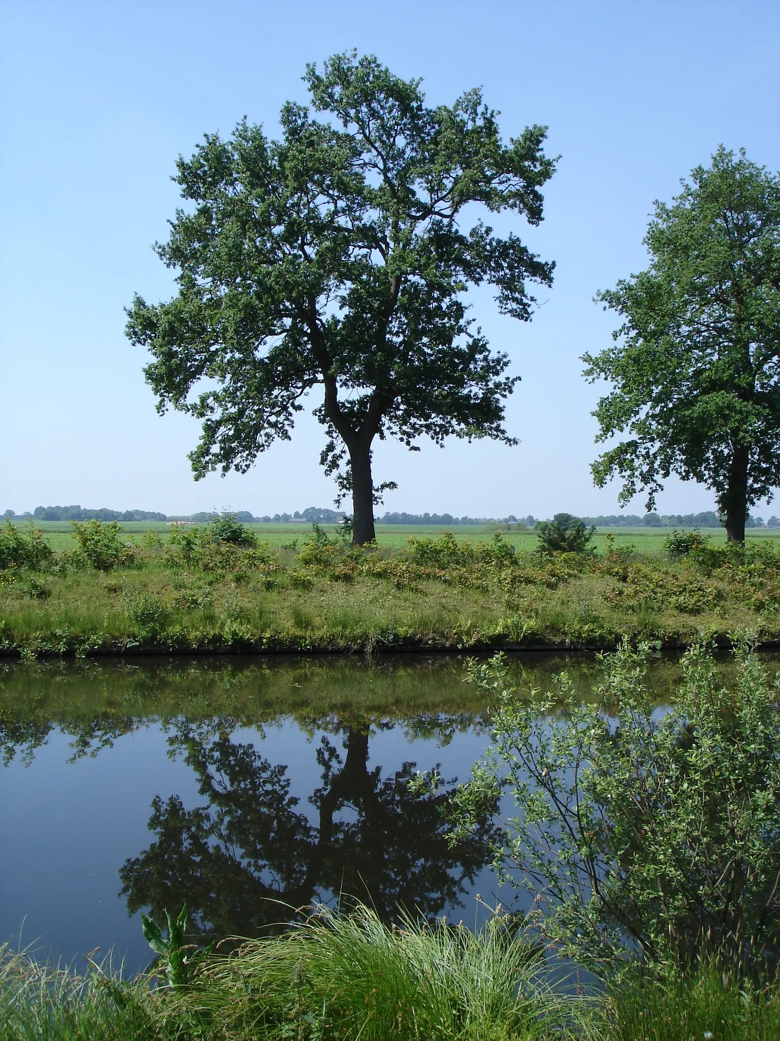 Photo showing: Bargermeerkanaal Emmen