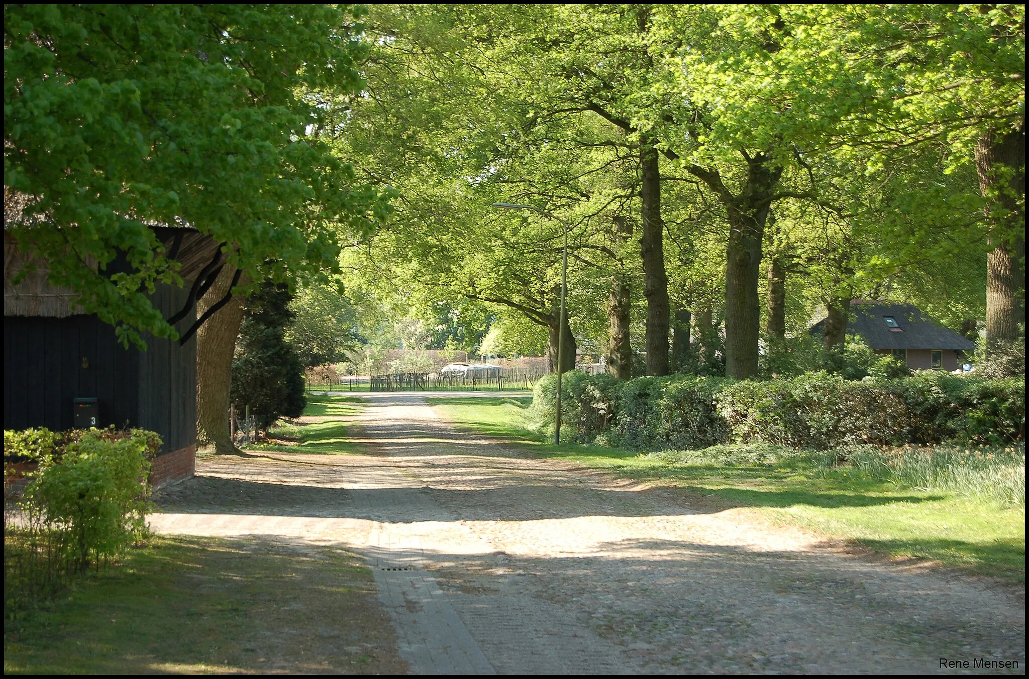 Photo showing: Zuidbarge