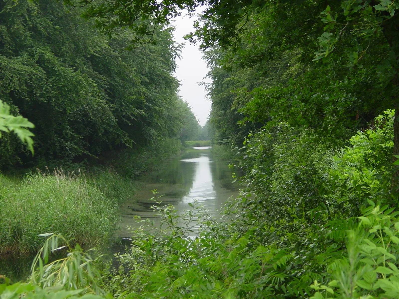 Photo showing: Odoornerzijtak in Klijndijk (the Netherlands)