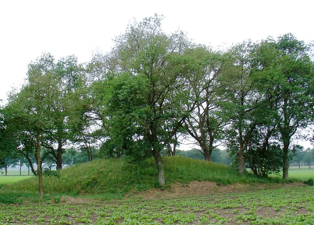 Photo showing: Eppiesbergje een grafheuvel tussen Valthe en Odoorn