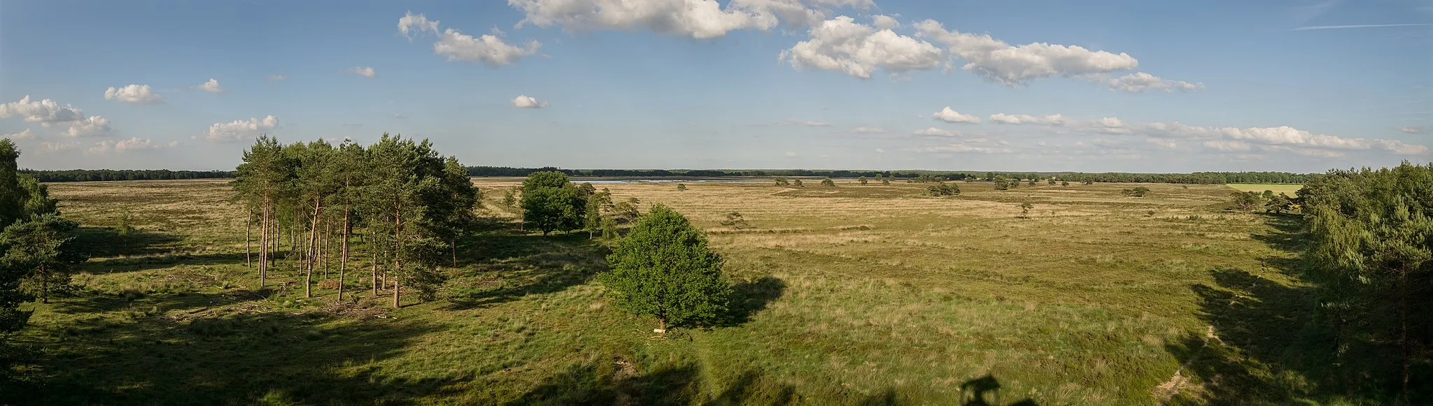 Photo showing: This is a photo or sound file made in Drents-Friese Wold National Park in the Netherlands, with the main subject of the file in the category: panorama photo