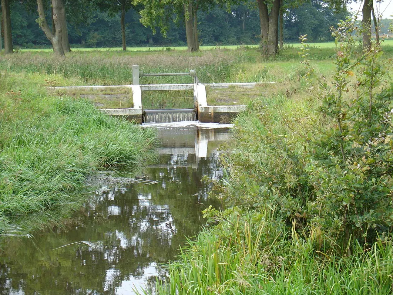 Photo showing: De Ruiten-Aa in de omgeving van Ter Wisch