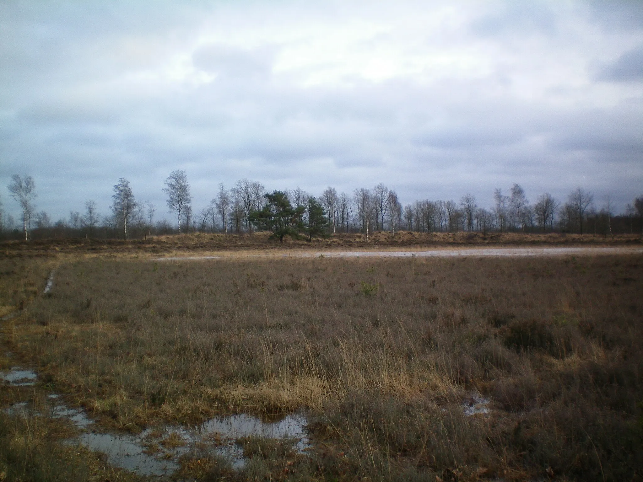 Photo showing: Elsloo, achter Canademeer