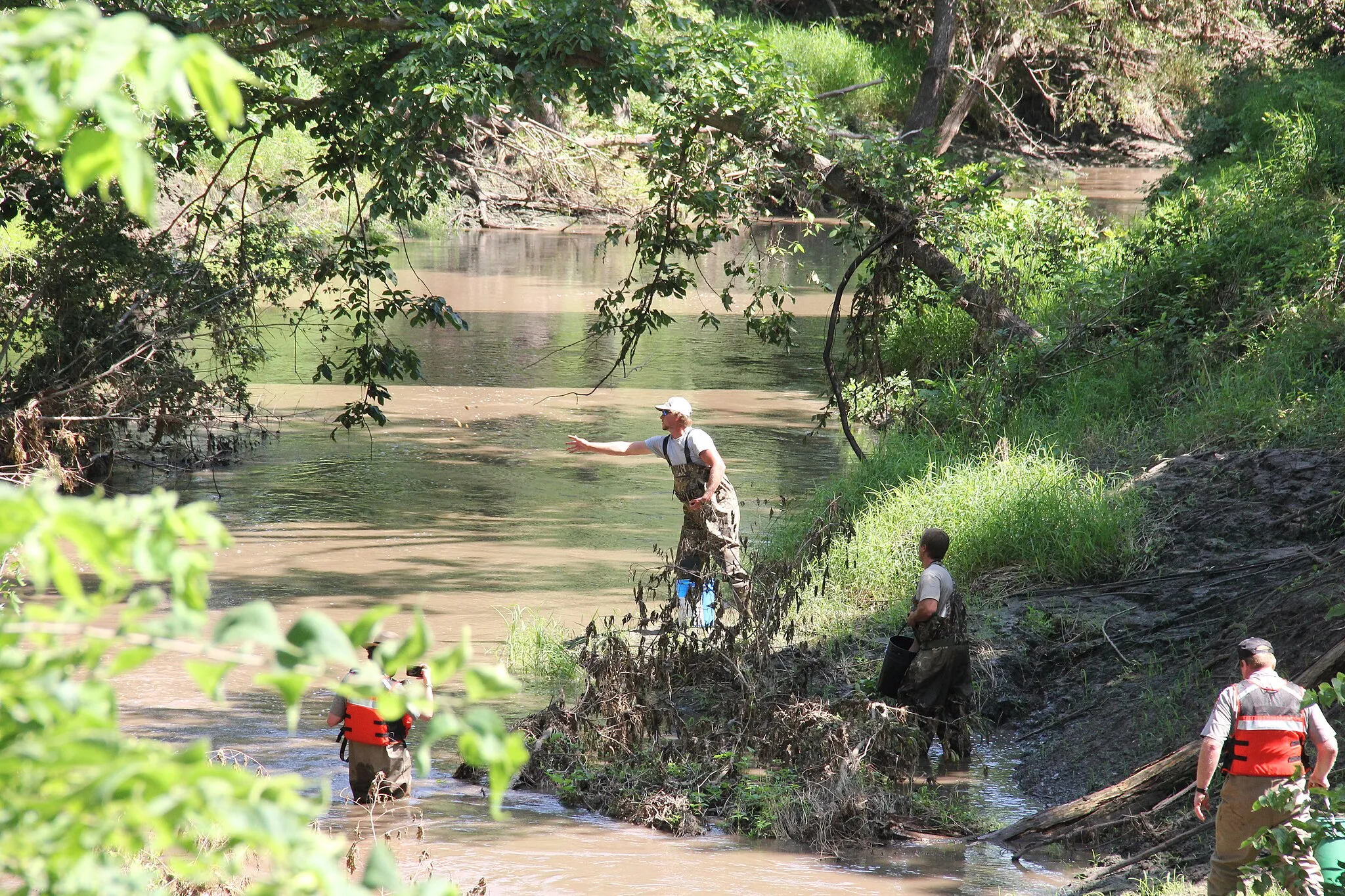 Photo showing: four NPS employees standing in Cub Creek, two are wearing gray shirts and green coveralls, two of them are wearing red life vests.
NPS employees standing in Cub Creek
Keywords: homestead national historical park; mussel