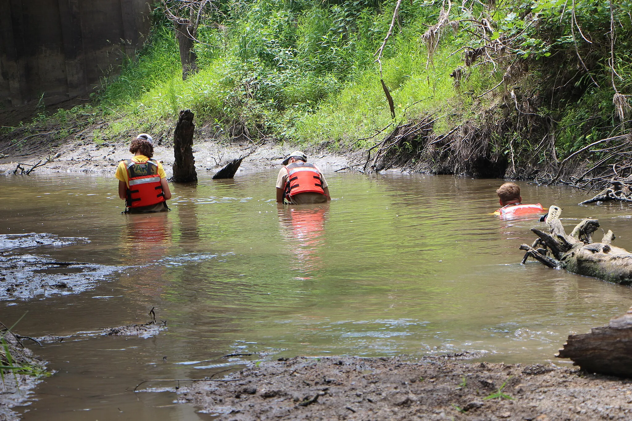 Photo showing: Three people, all wearing orange life vests crawl through Cub Creek looking for mussels.
Three interns search through Cub Creek to find mussels.
Keywords: homestead national historical park; mussel