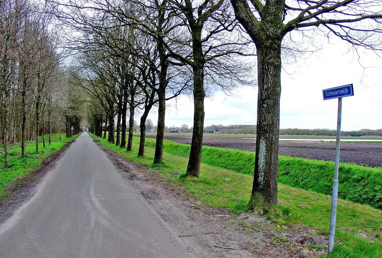 Photo showing: De Schreierswijk in Gasselternijveen in de gemeente Aa en Hunze