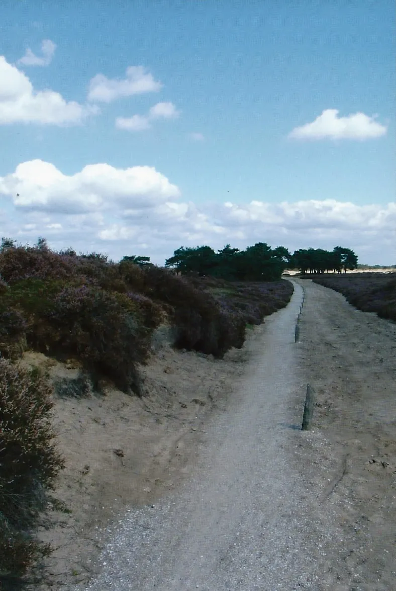 Photo showing: Balloërveld - Fietspad. Balloërveld in de gemeente Aa en Hunze.