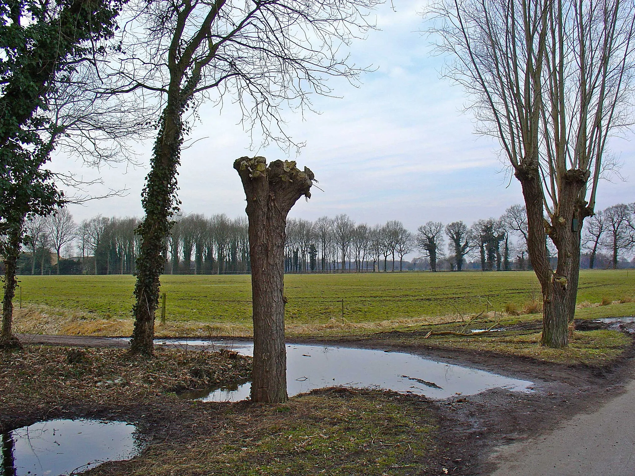 Photo showing: Terrein van de voormalige havezate Entinge te Bonnen (Gieten)