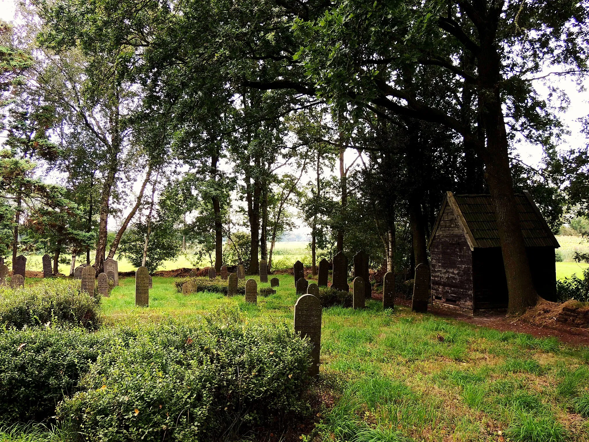 Photo showing: Joodse begraafplaats Gorredijk - Kortezwaag