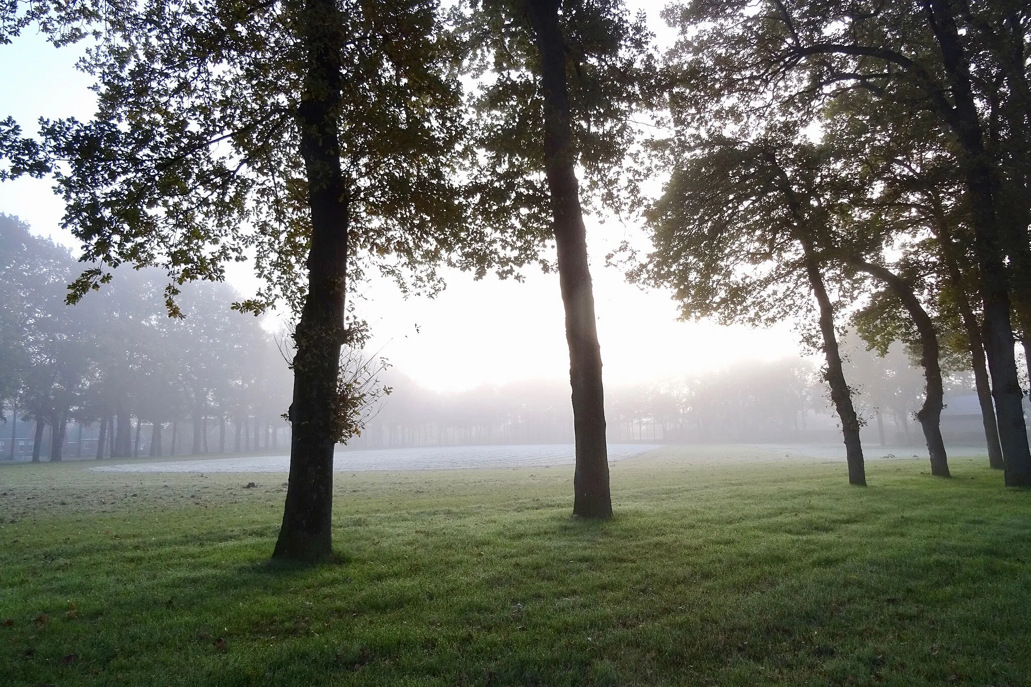 Photo showing: De Brink van Annen 's morgens in de mist