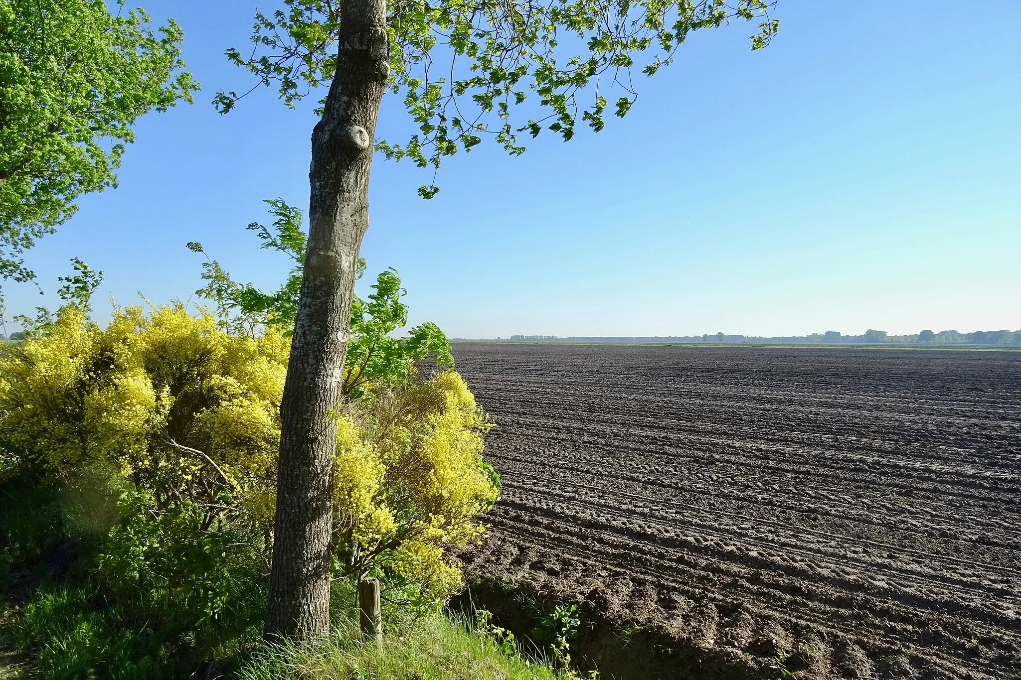 Photo showing: De akkers tussen Ou Wedderveen en Vriescheloo