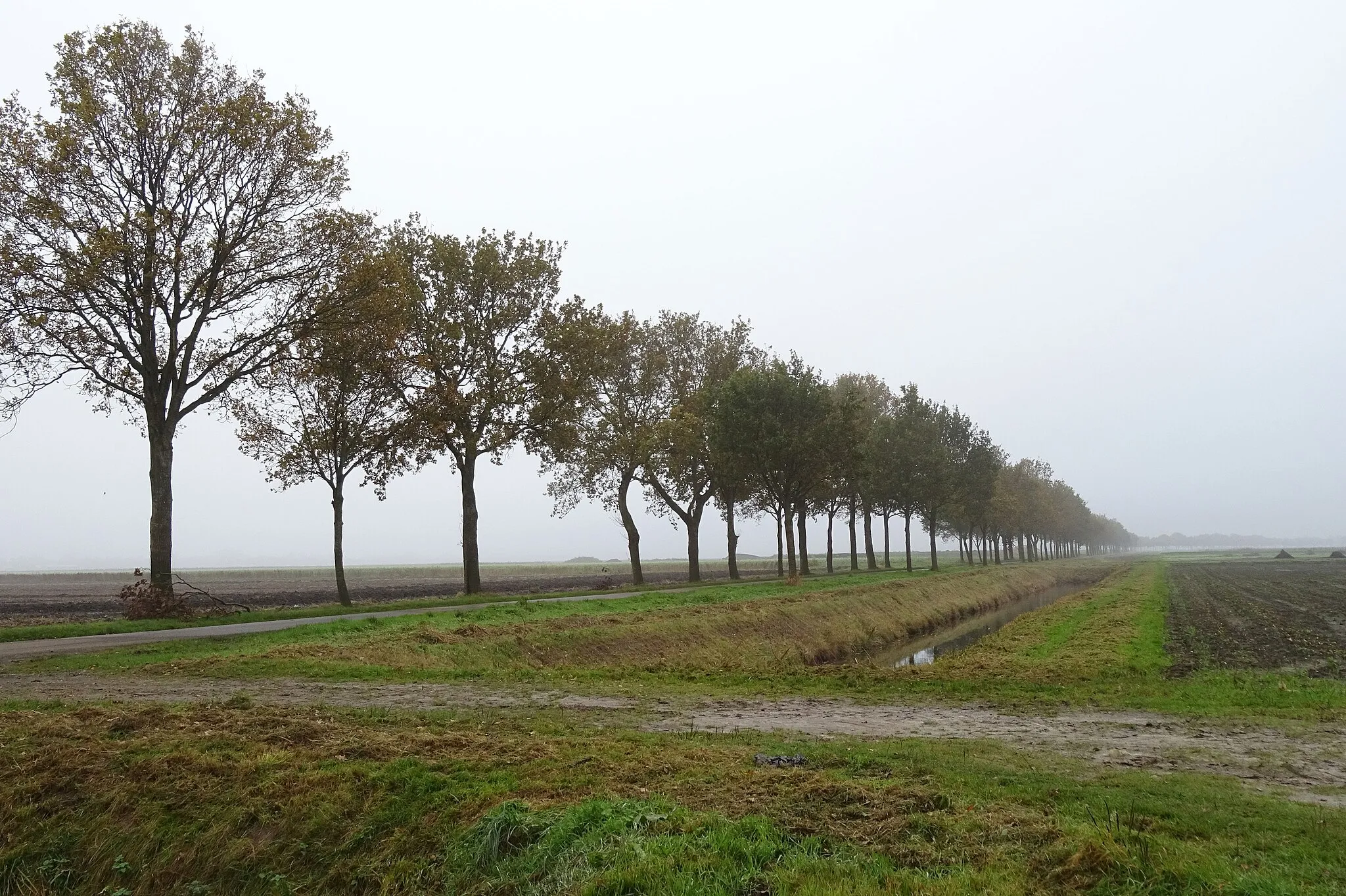 Photo showing: Borgercompagnie tussen Wildervank en Eexterveenschekanaal