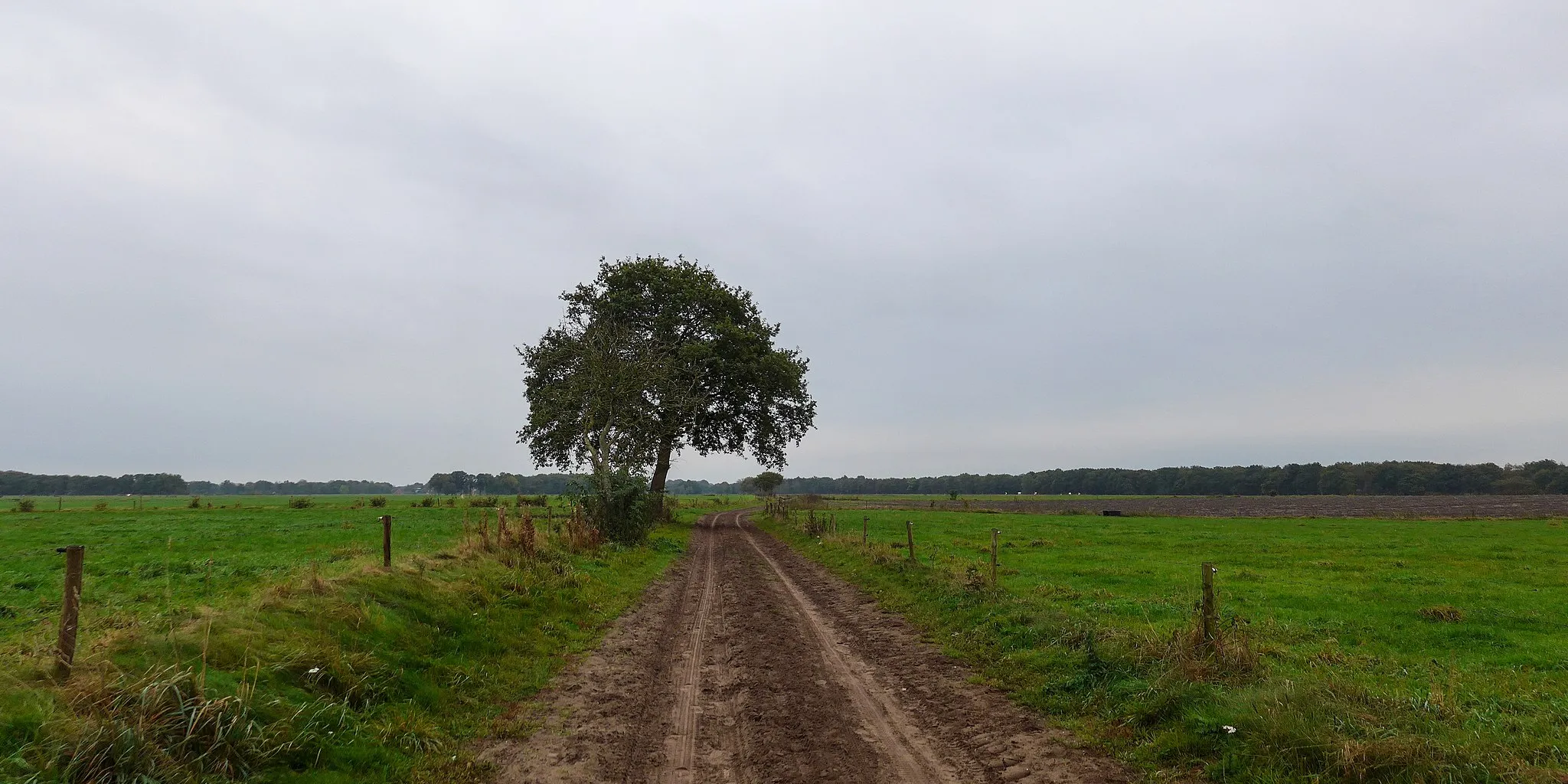 Photo showing: The Kerkweg, an old mass path in the Dutch province of Drenthe.