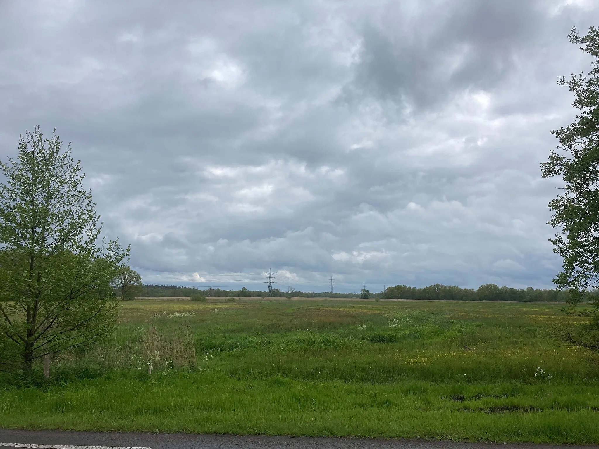 Photo showing: Bunne, Nederland, May 2021