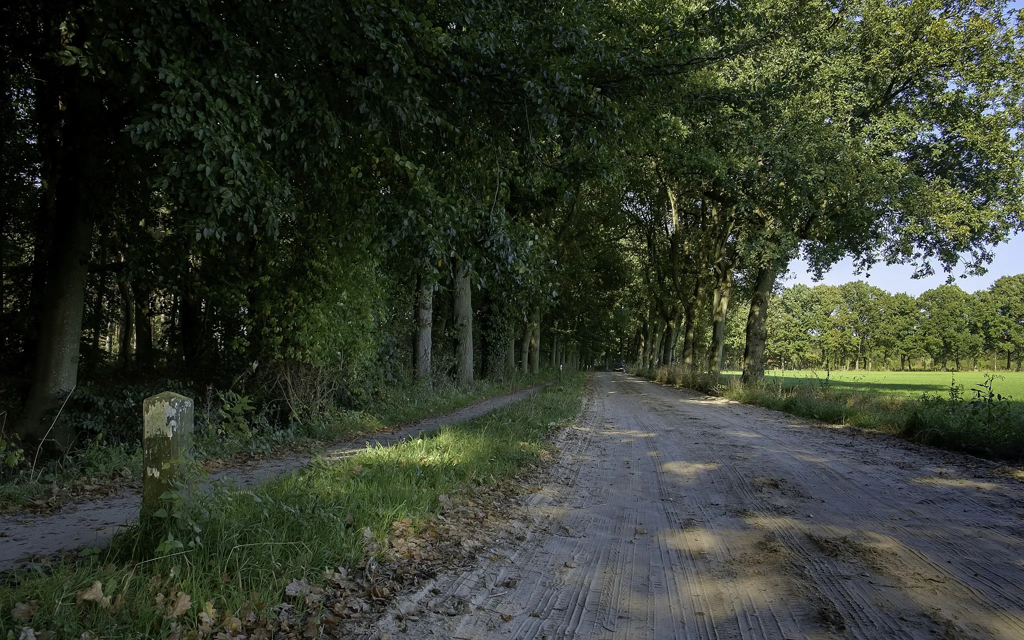 Photo showing: Duinweg langs het Noordlaarderbos