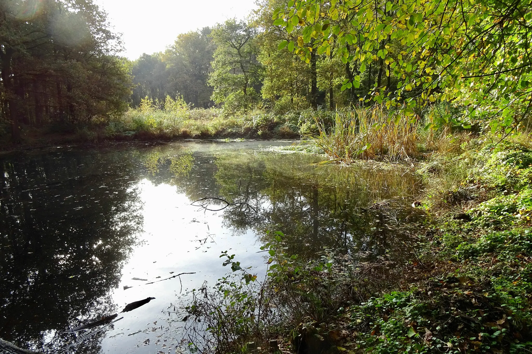 Photo showing: Vennetje in de Appelbergen