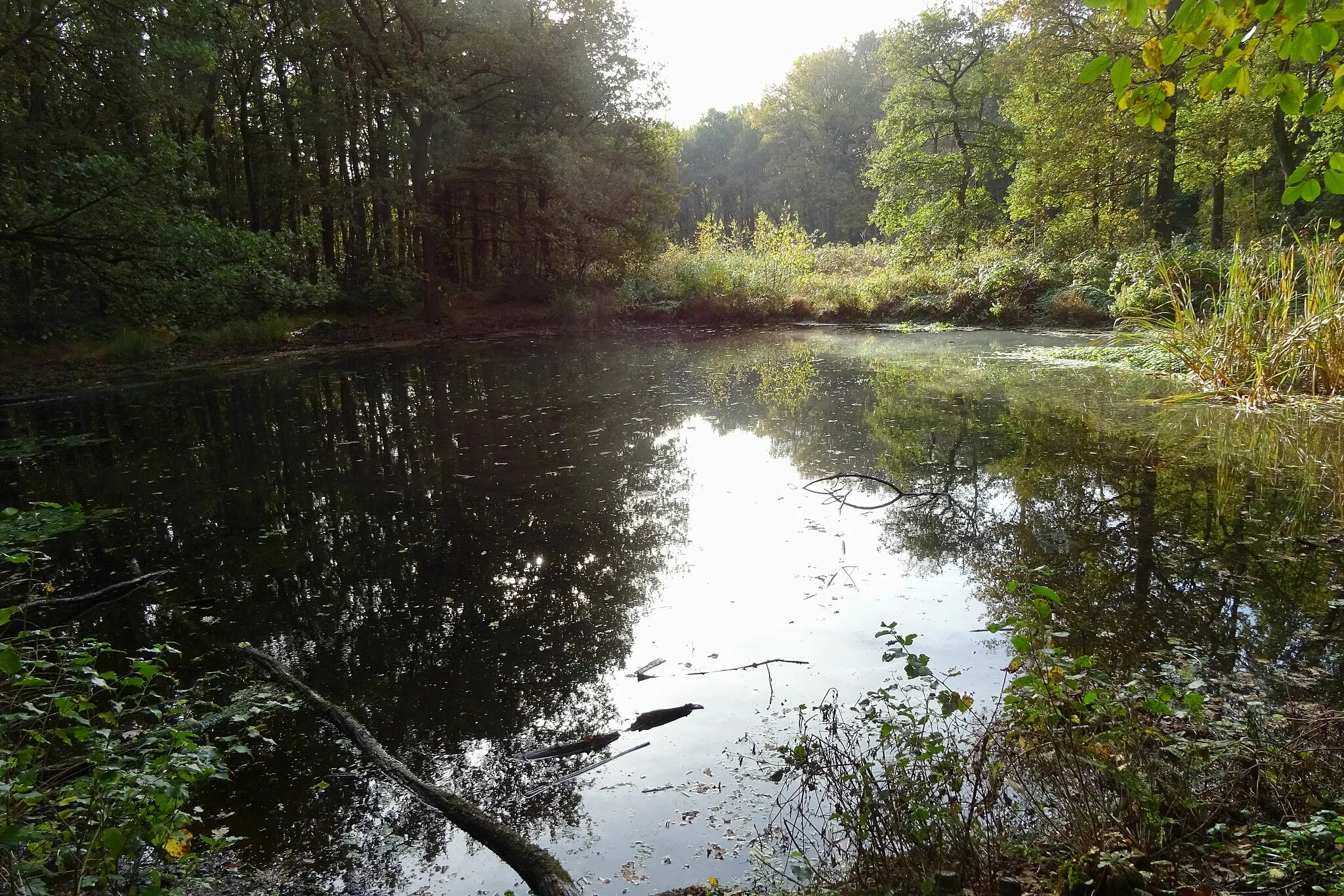 Photo showing: Vennetje in de Appelbergen