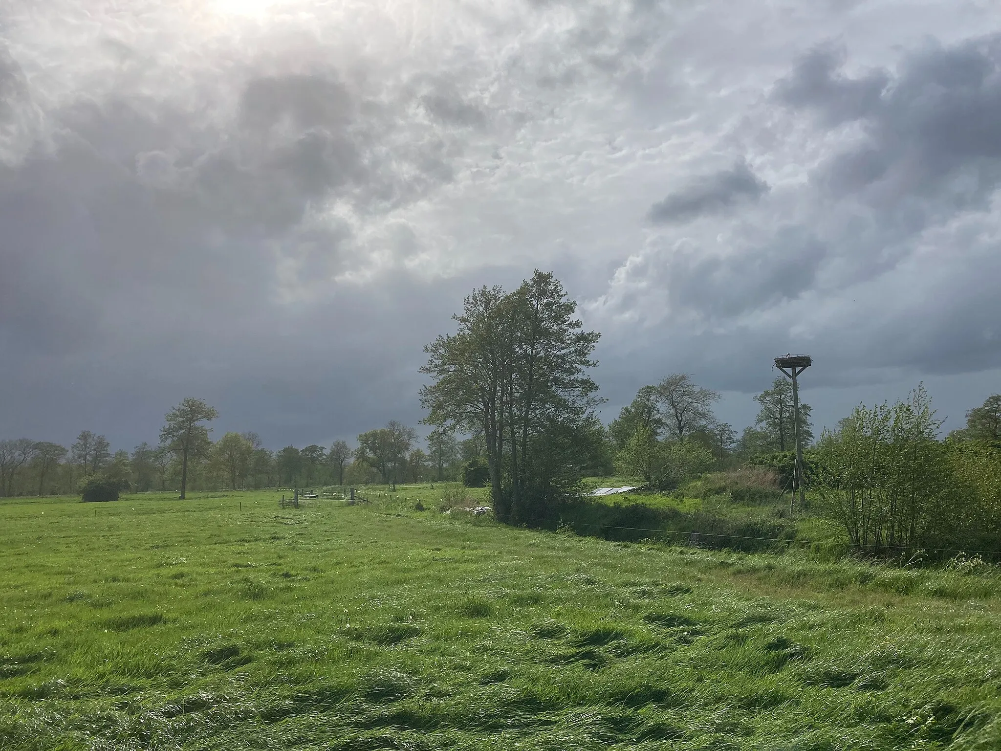 Photo showing: Niebert, Nederland, May 2021