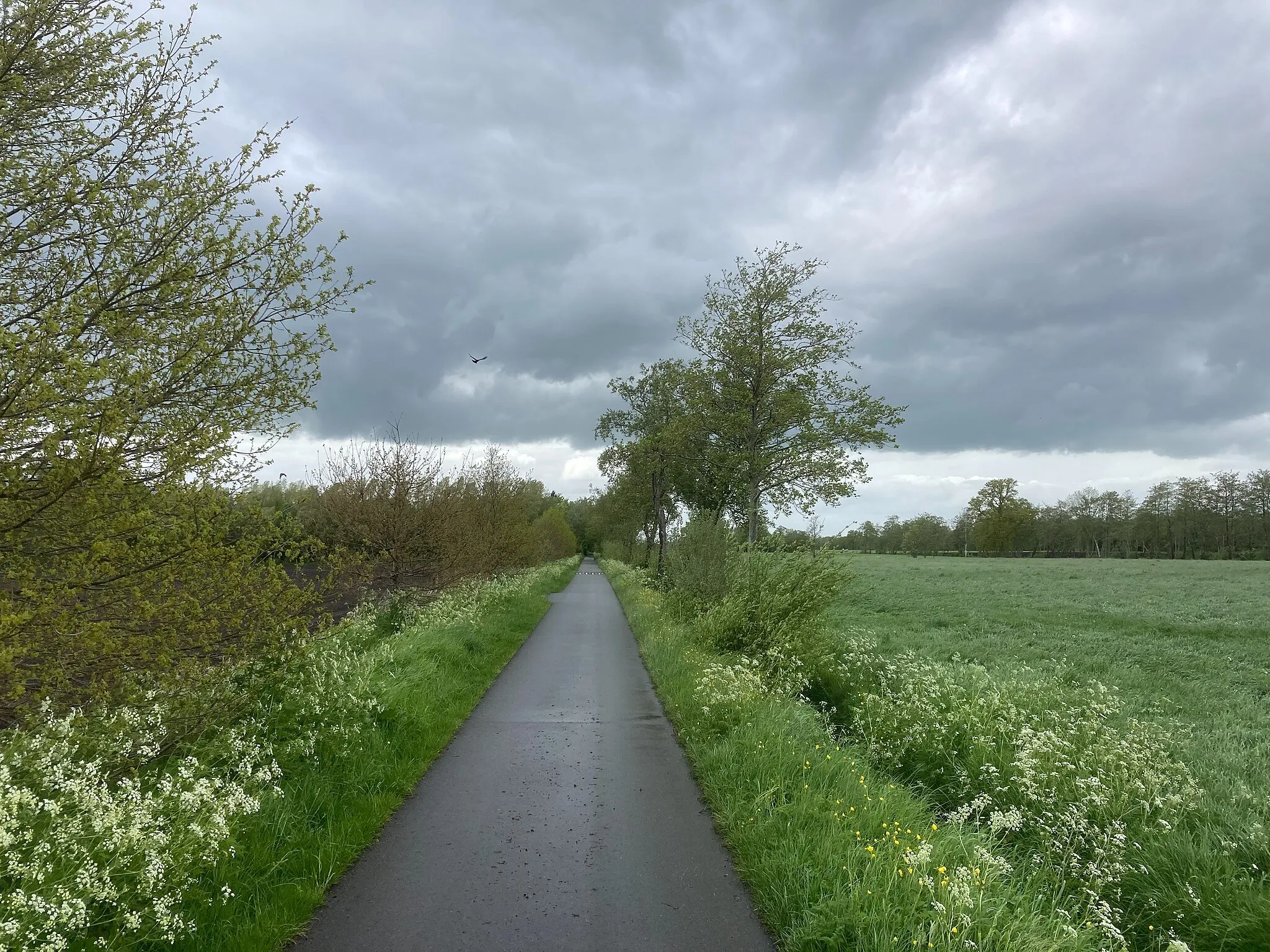 Photo showing: Niebert, Nederland, May 2021