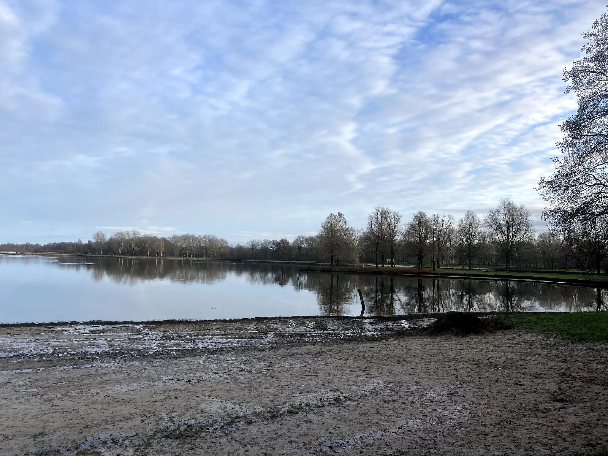 Photo showing: HoornsePlas.Paterswolde.Groningen Mid winter zwemmen Nieuwjaarsduik