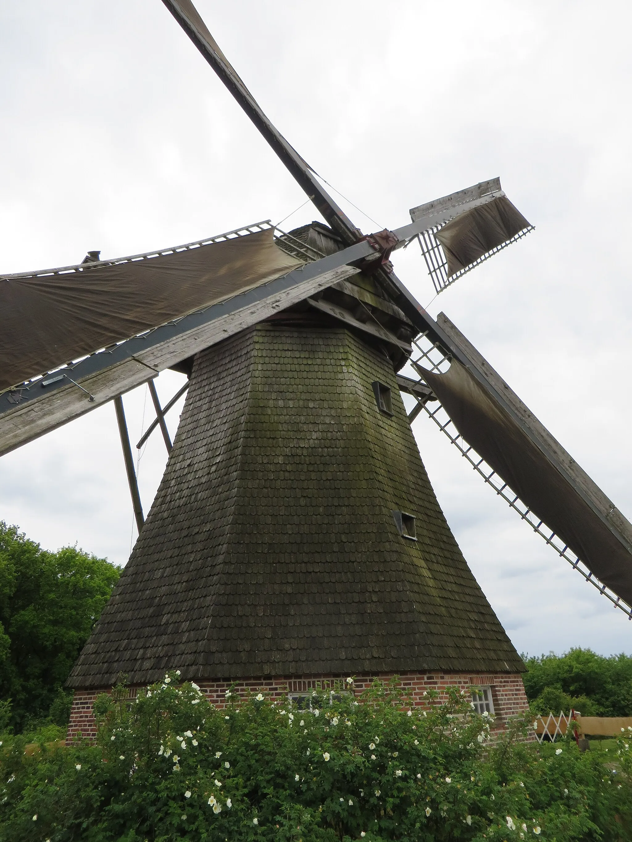 Photo showing: Hilter molen