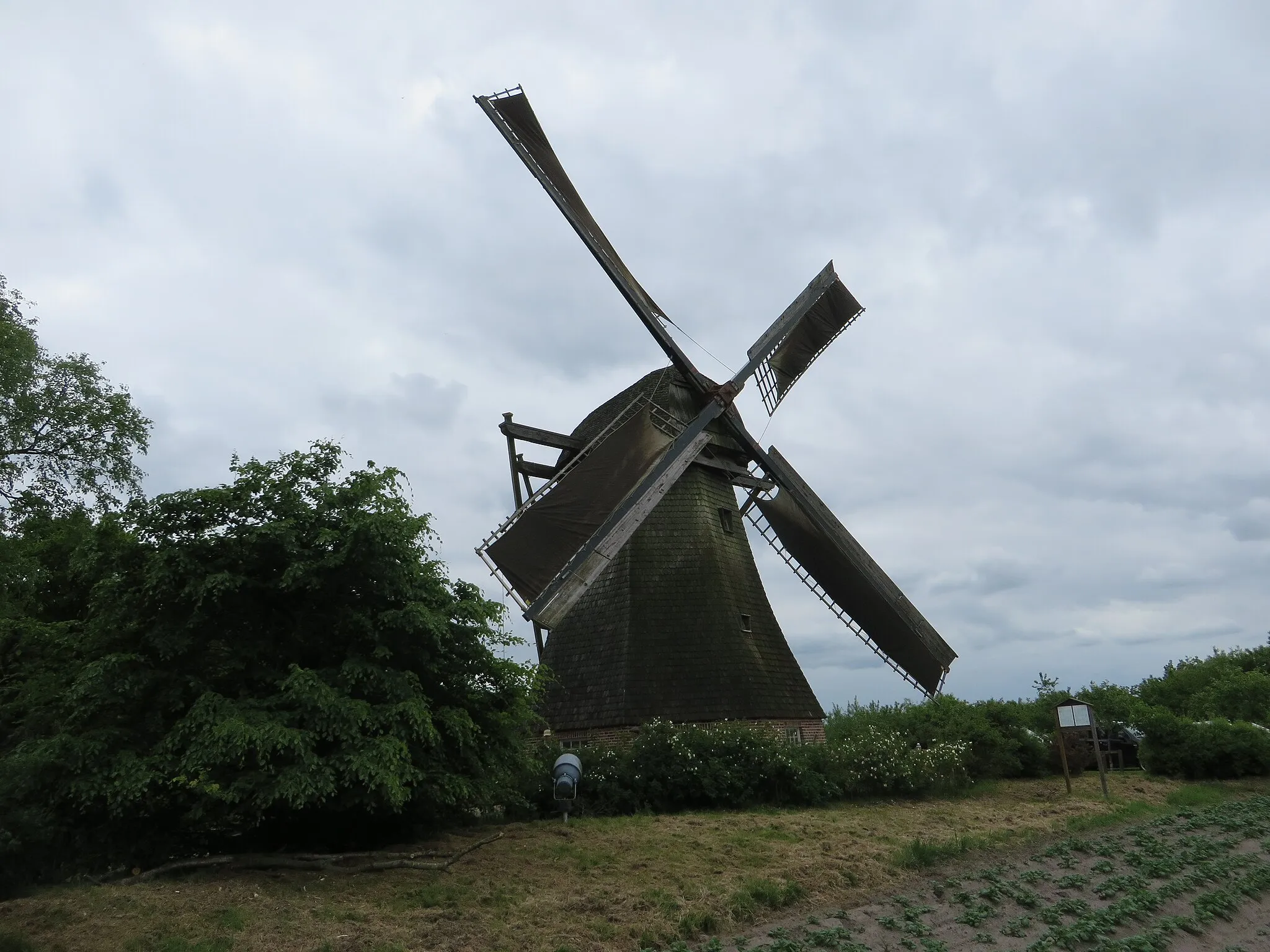 Photo showing: Hilter molen