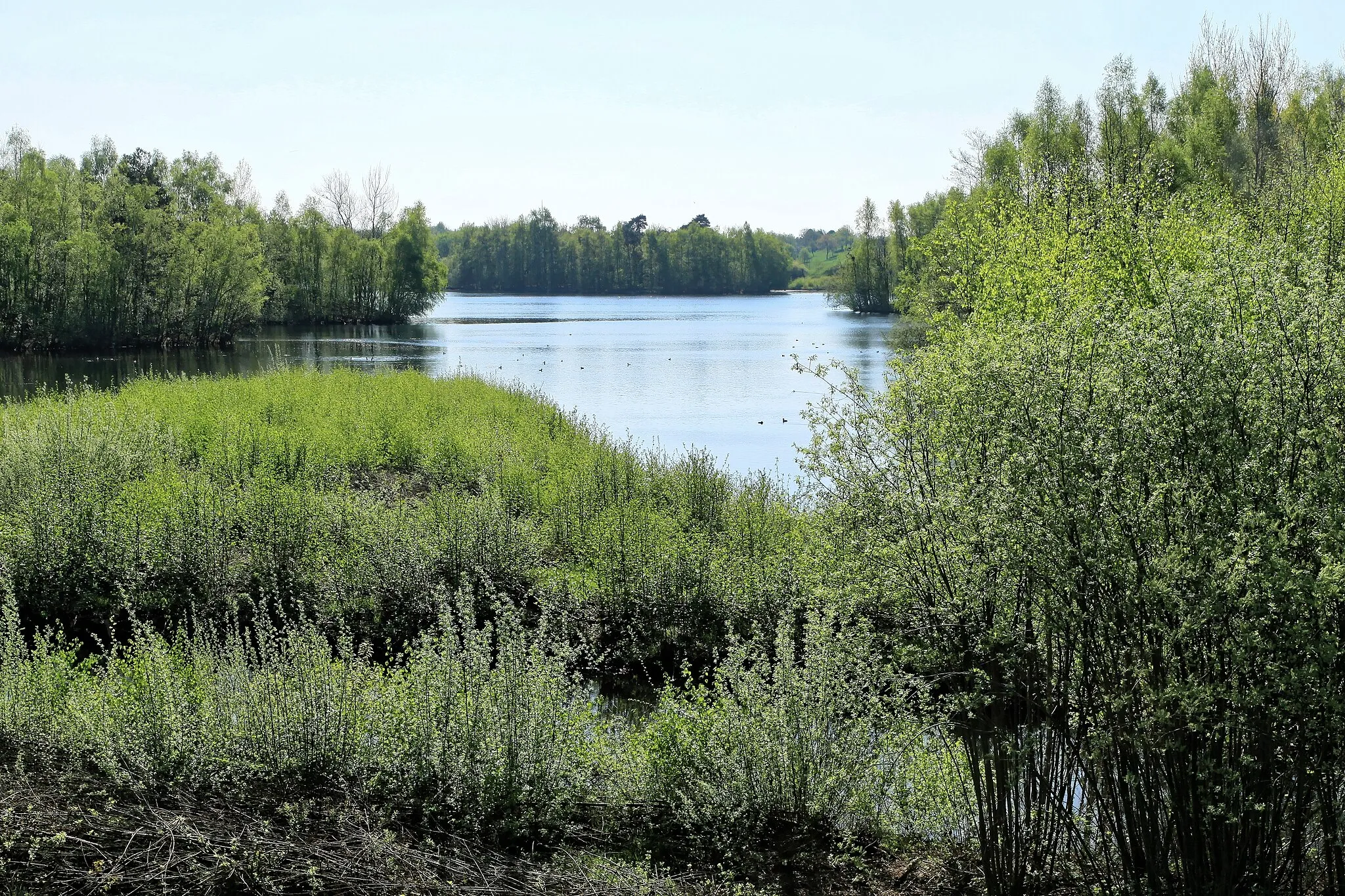 Photo showing: NSG Biotop am Speicherbecken Geeste‎, Osterbrocker Straße in Geeste