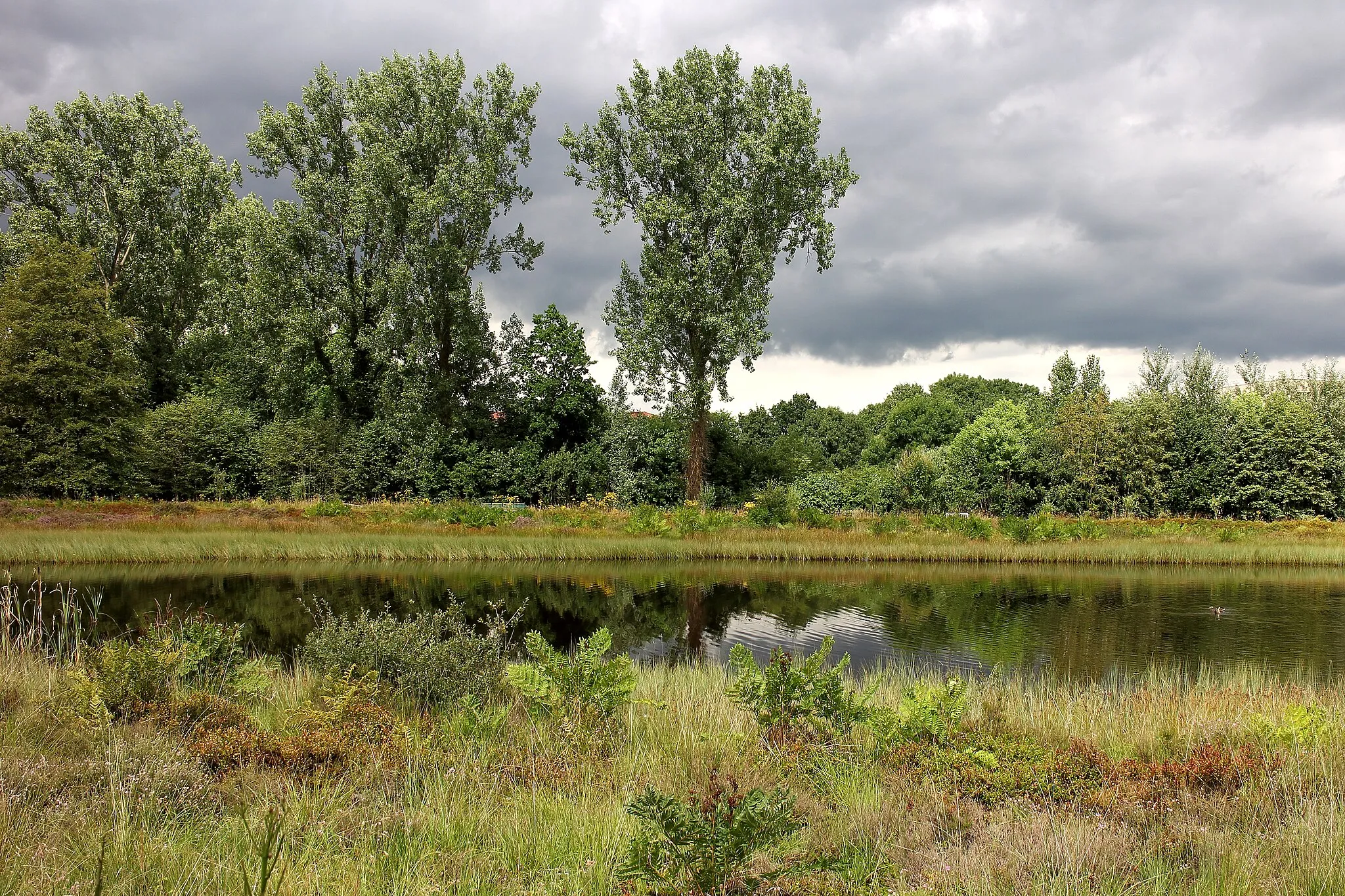 Photo showing: Hortus Haren. Arme food lake.