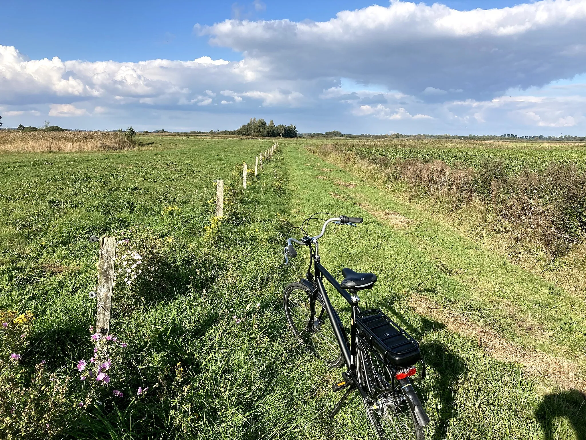 Photo showing: Zuidlaardermeer.JachtHaven.Meerzicht.Midlaren.DeGroeve.Landschap