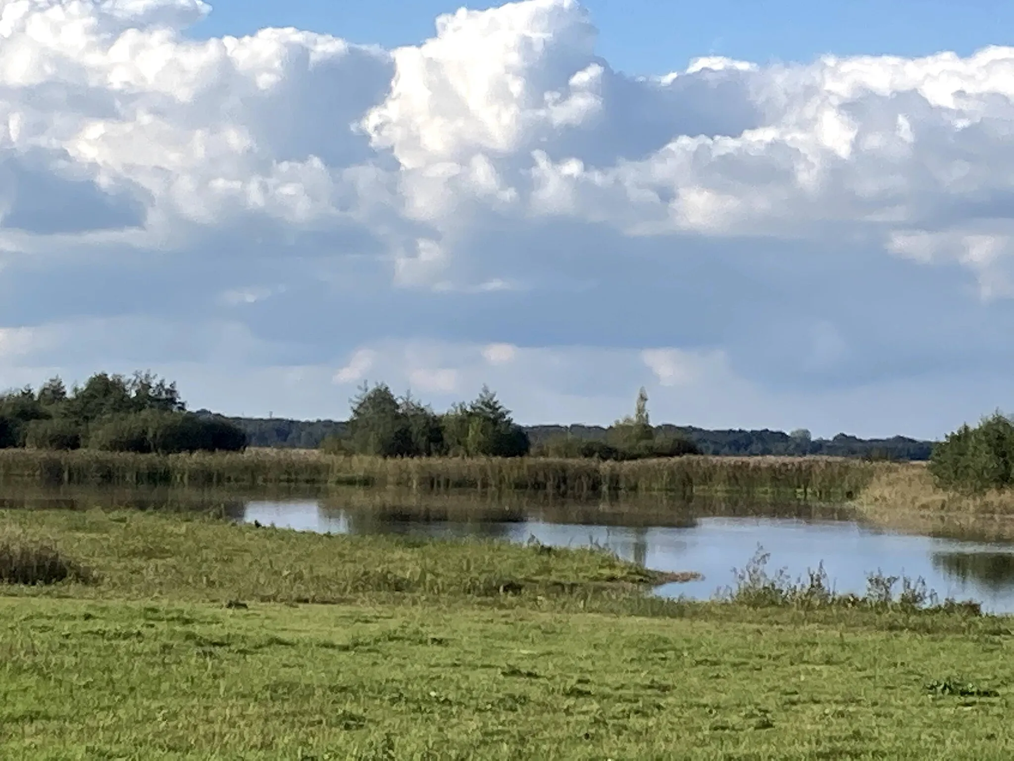 Photo showing: Zuidlaardermeer.JachtHaven.Meerzicht.Midlaren.DeGroeve.Landschap