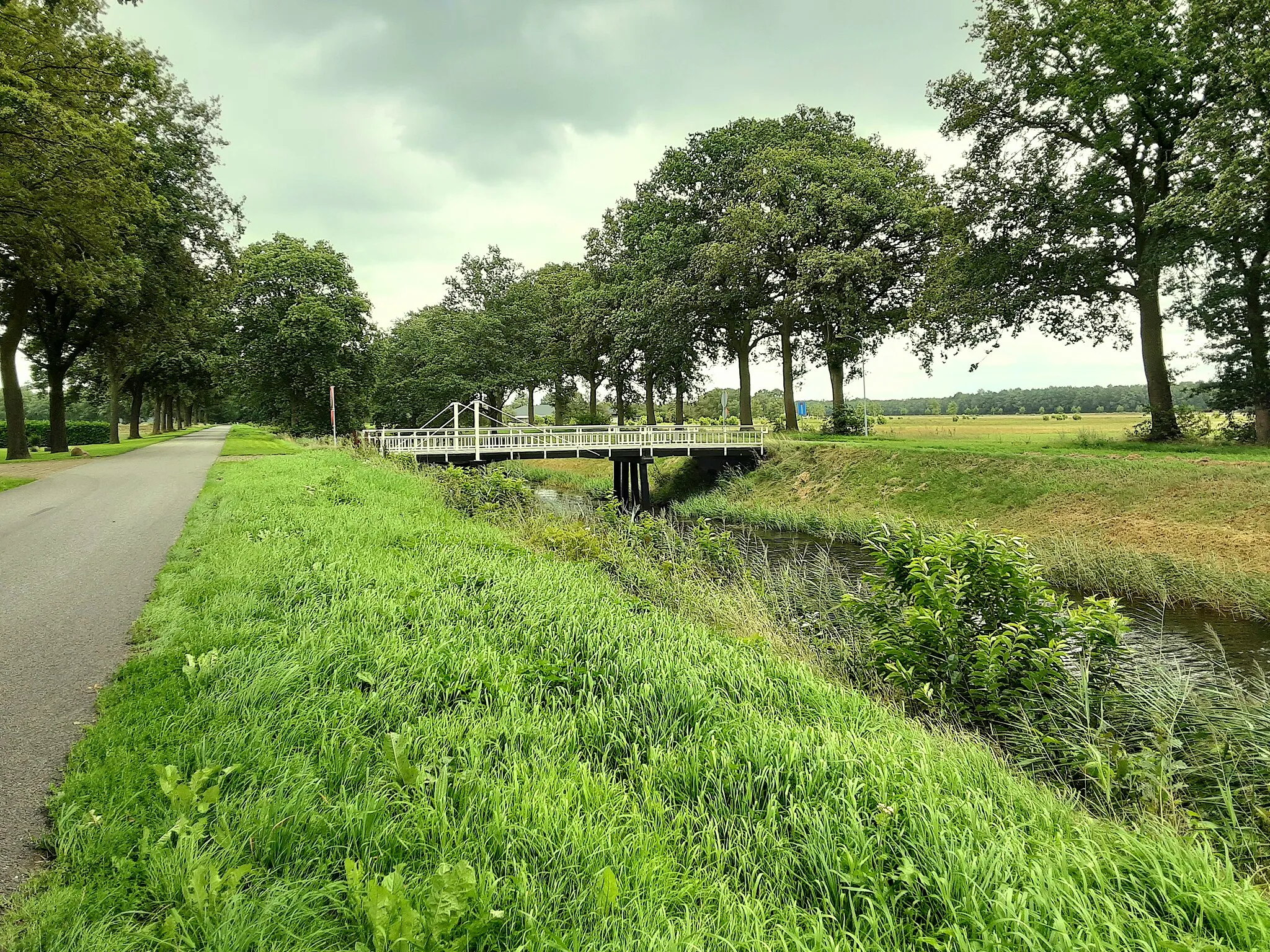 Photo showing: This is an image of a provincial monument in Drenthe with number PM1-0169