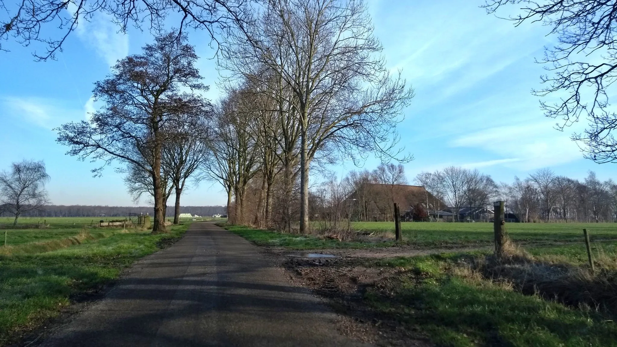Photo showing: Hooibergen Heaburgen, buurtschap bij Nijemirdum, Friesland