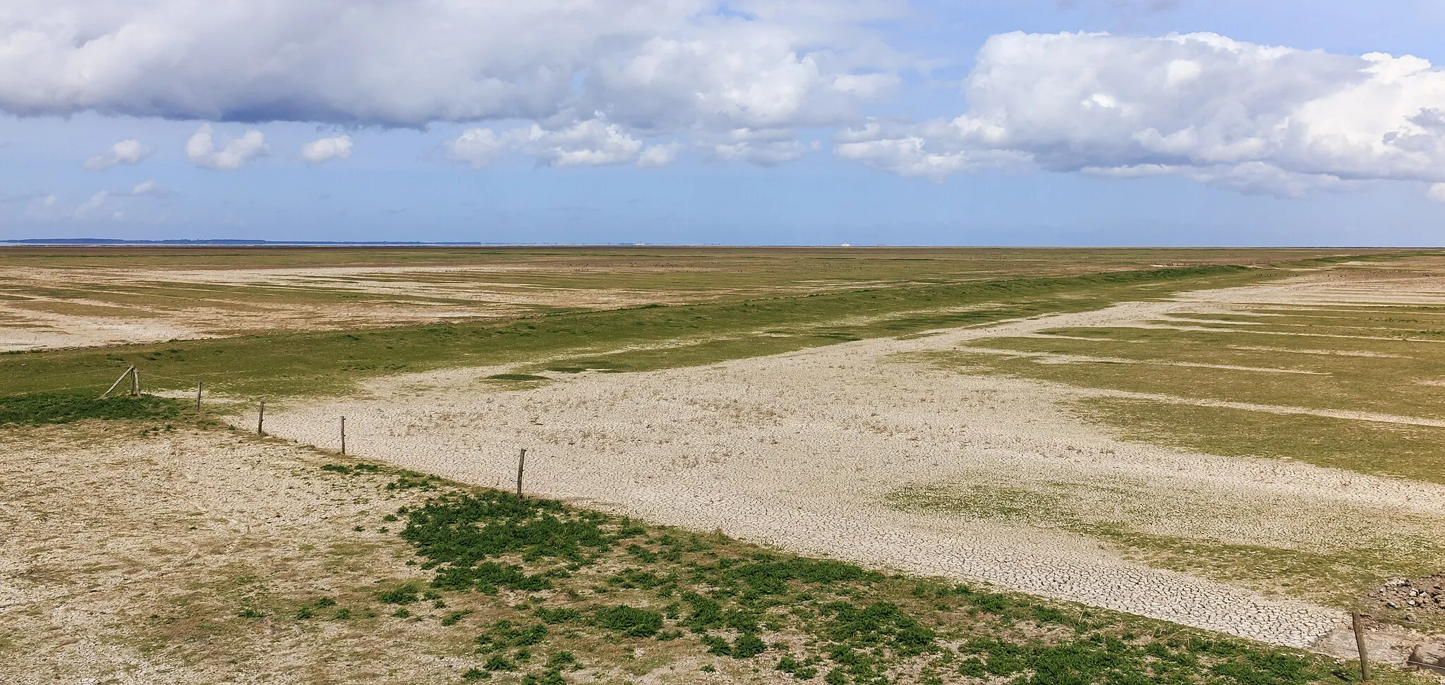 Photo showing: View from the lookout tower on summer polders, drink dobben and salt marshes. Location, Noarderleech.