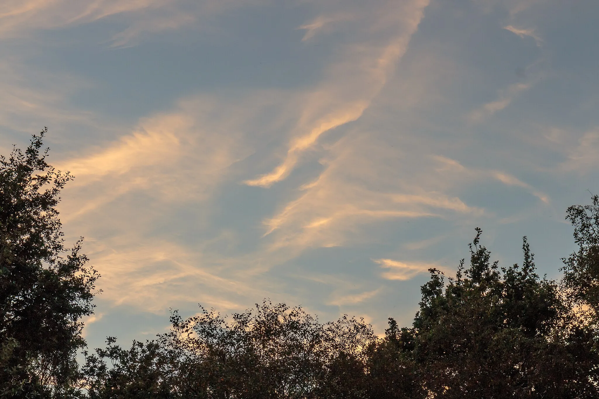 Photo showing: Setting sun illuminates the clouds. Location, Het Katlijker Schar Uitkijktoren Tjongertoer.