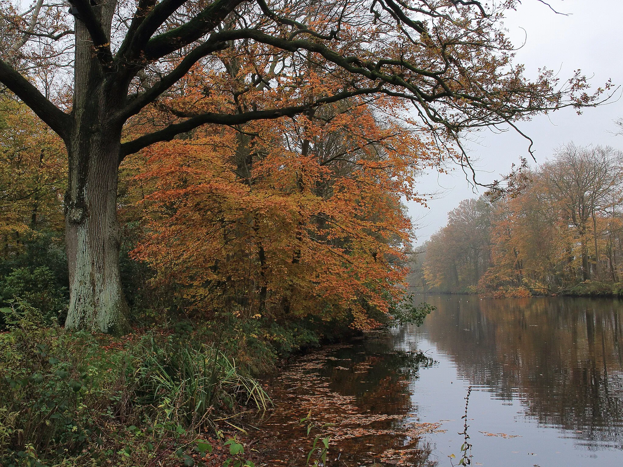 Photo showing: Park Heremastate. Large pond.