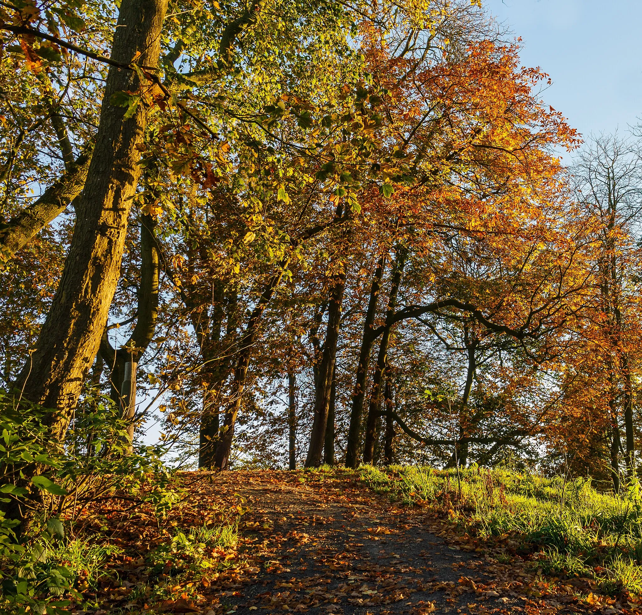 Photo showing: Autumn in Historical park Heremastate (Netherlands).