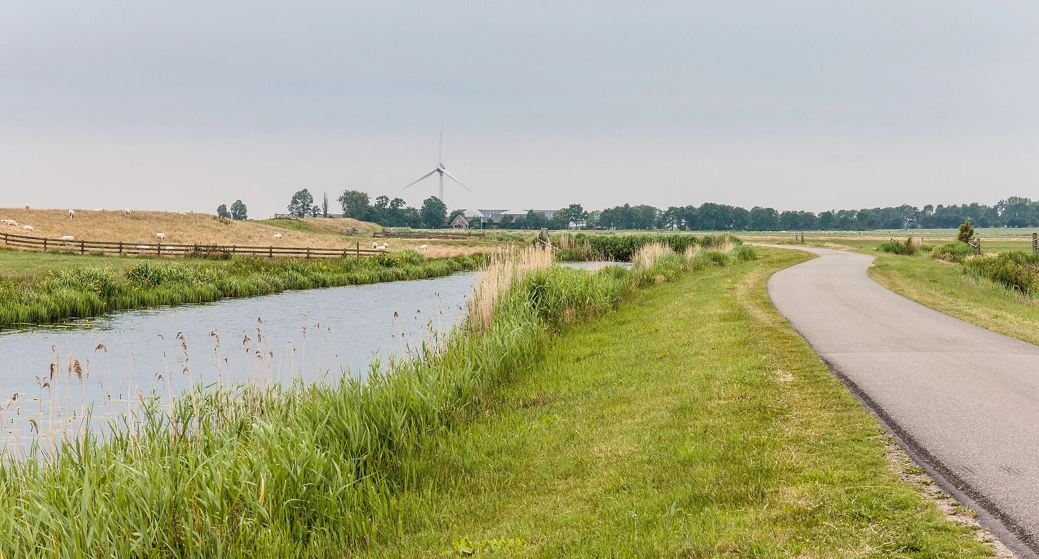 Photo showing: View on the seawall next to the Sânfeartsdyk.