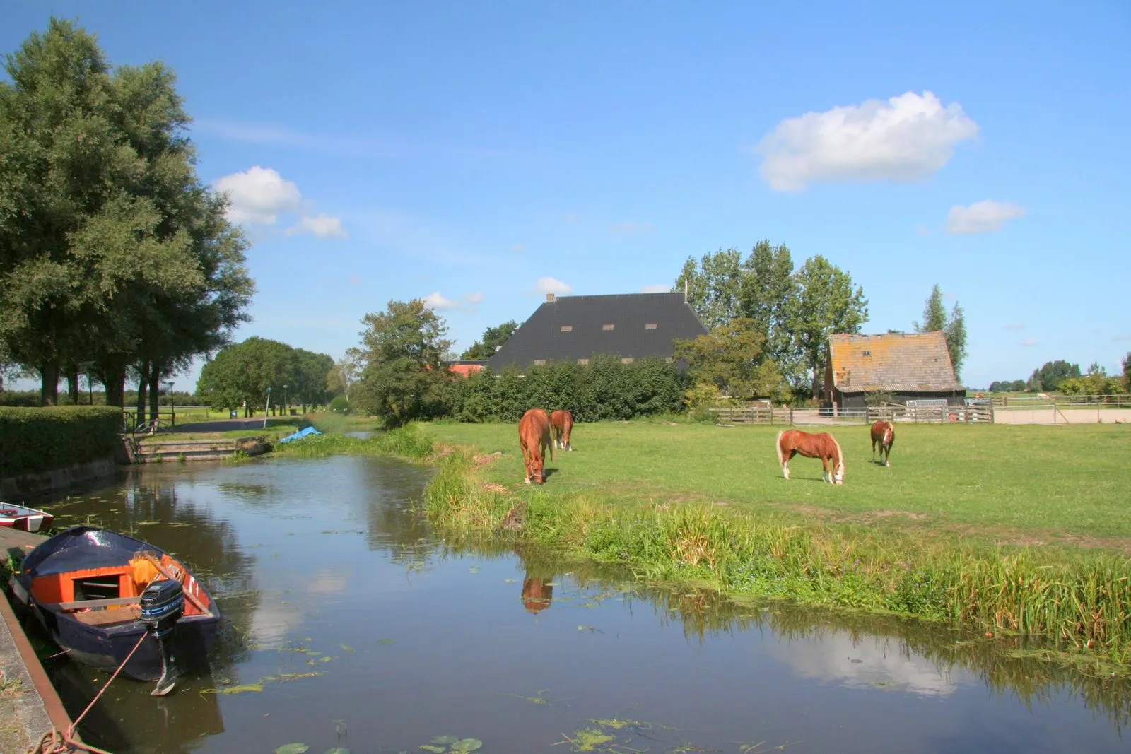Photo showing: Het landschap van Friesland bij het dorp Idaerd in de gemeente Leeuwarden.