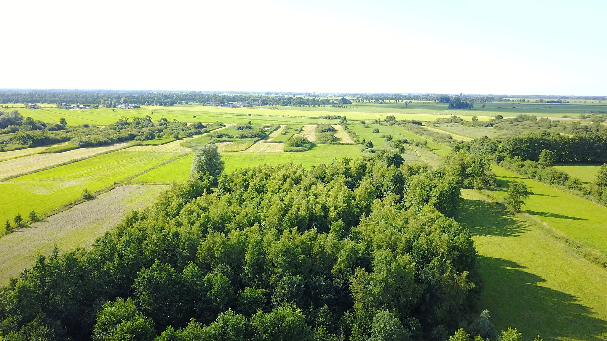 Photo showing: Luchtfoto (2017) van het noordelijke gedeelte van Peebos. Op de voorgrond Pebe's bos. Op de achtergrond een gedeelte van de  Doezumermieden en Friesland.