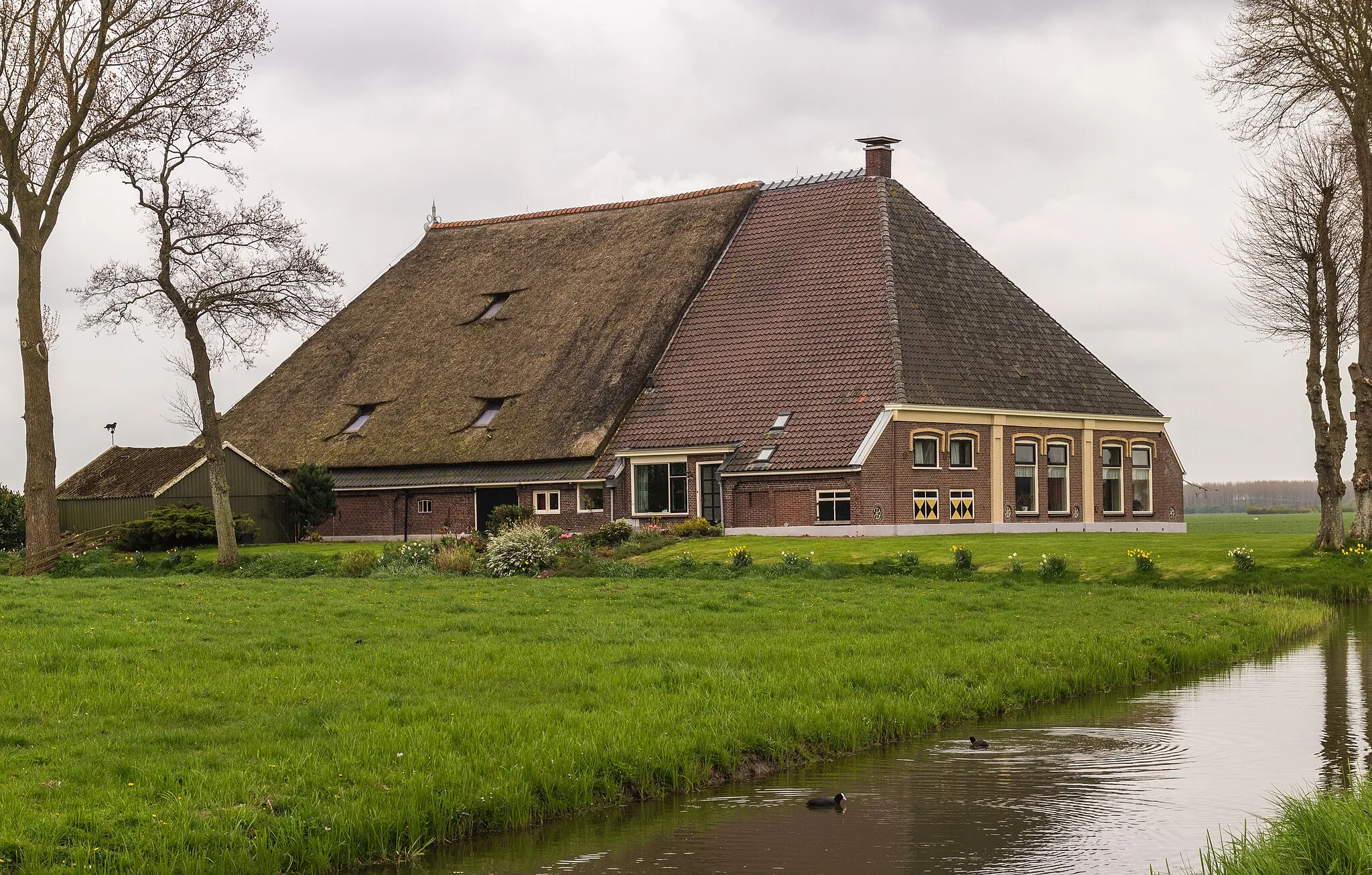 Photo showing: Characteristic farm, Aldlansdyk in Cornjum.