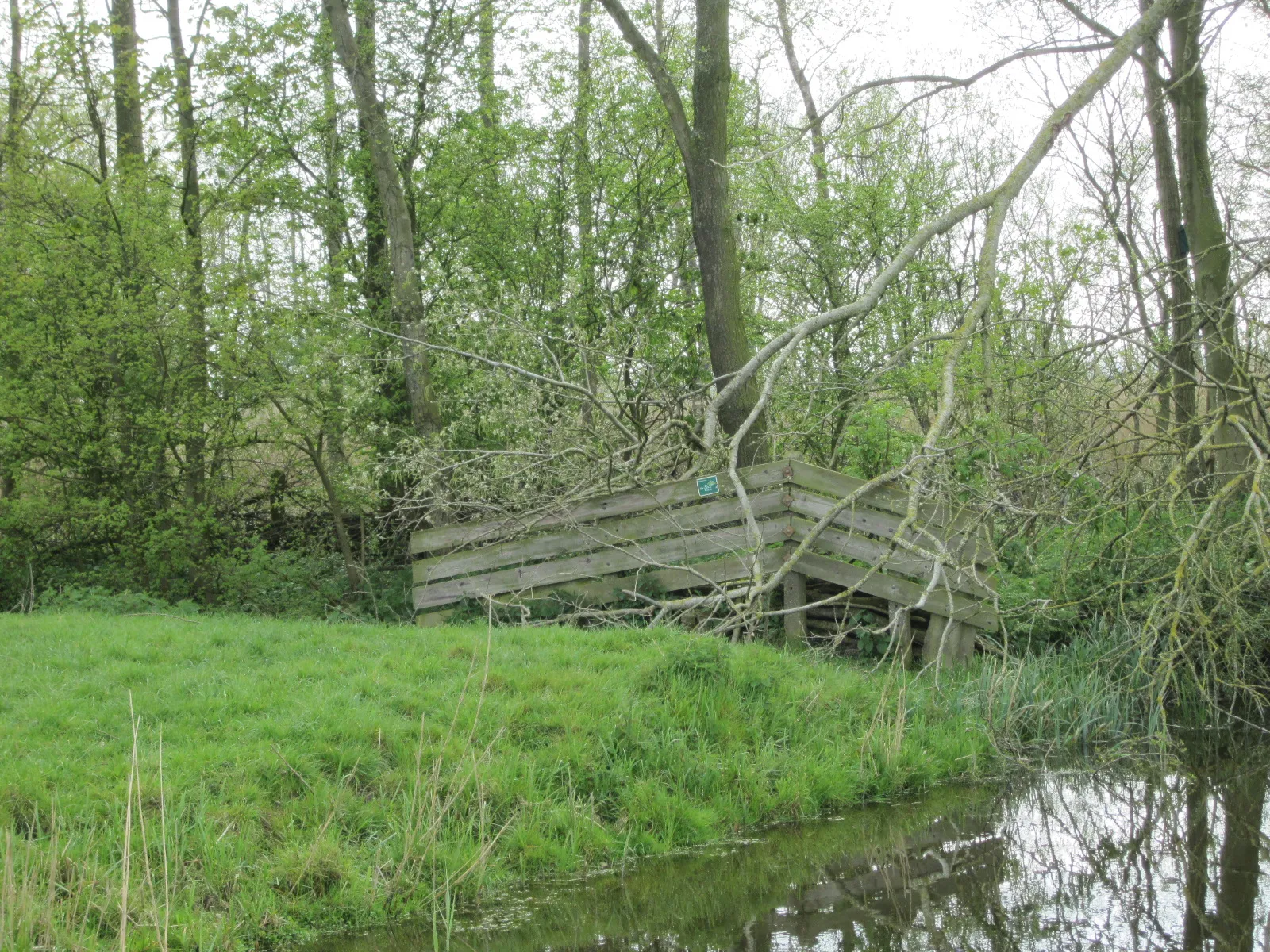 Photo showing: Nature reserve "Dobbe Stienser Aldlân", east of village Stiens, county Friesland, The Netherlands