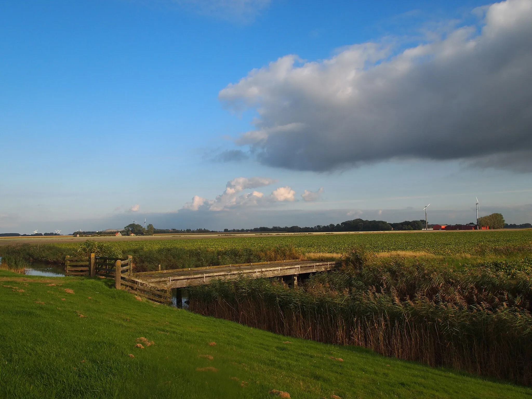 Photo showing: Westhoek (Friesland).