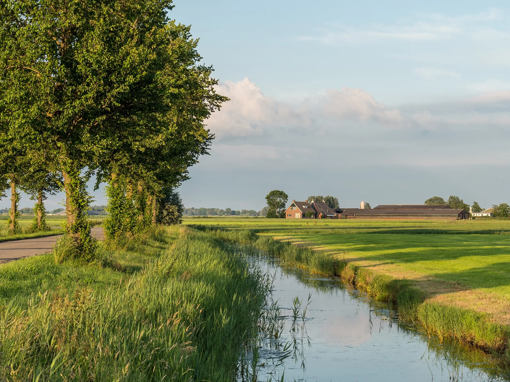 Photo showing: Landscape near Westergeest (Noardeast-Fryslân), the Netherlands