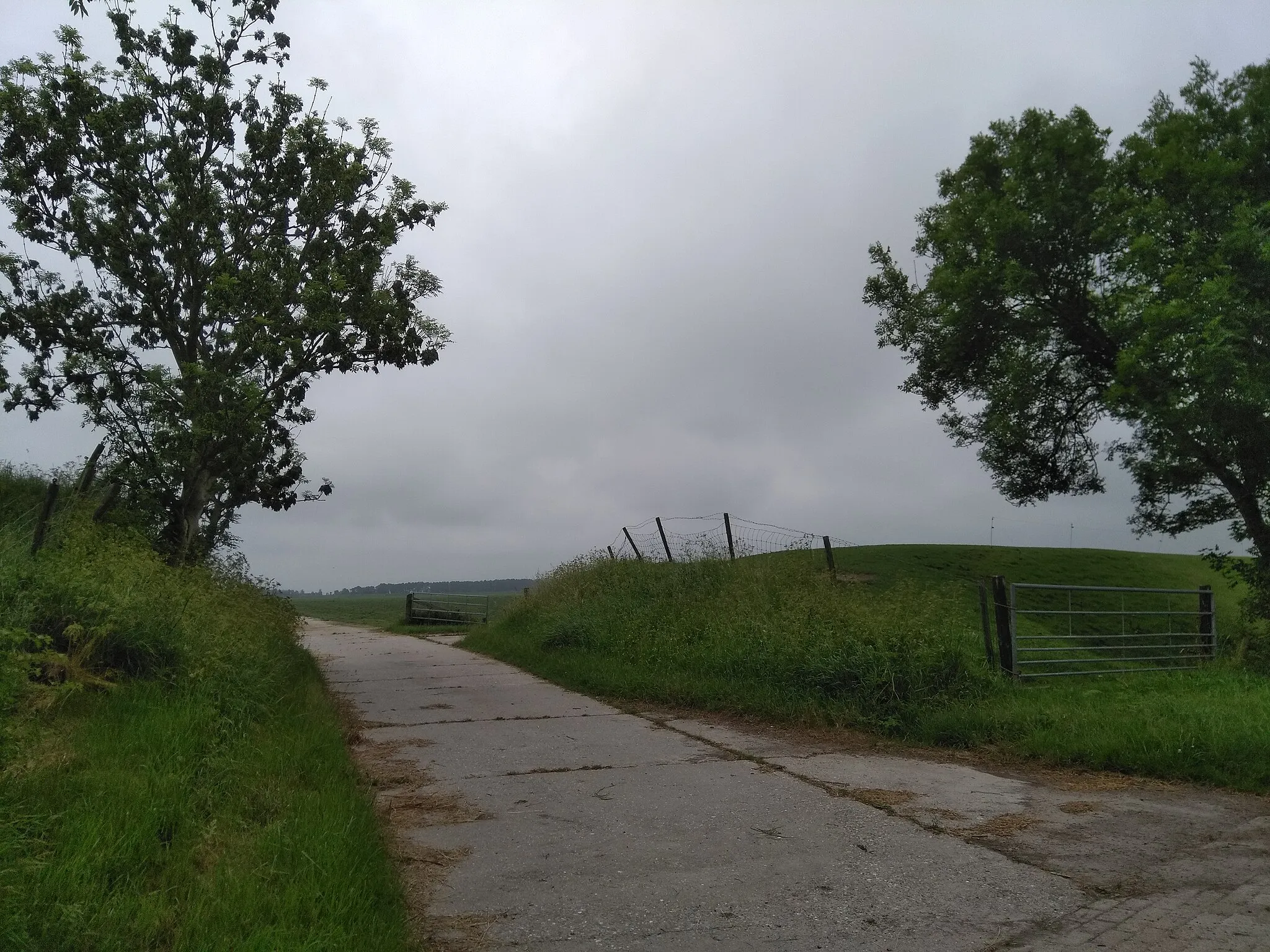 Photo showing: Doorbraak in de waarschijnlijk 12e-eeuwse zeedijk bij Nieuwland in de gemeente Dongeradeel.