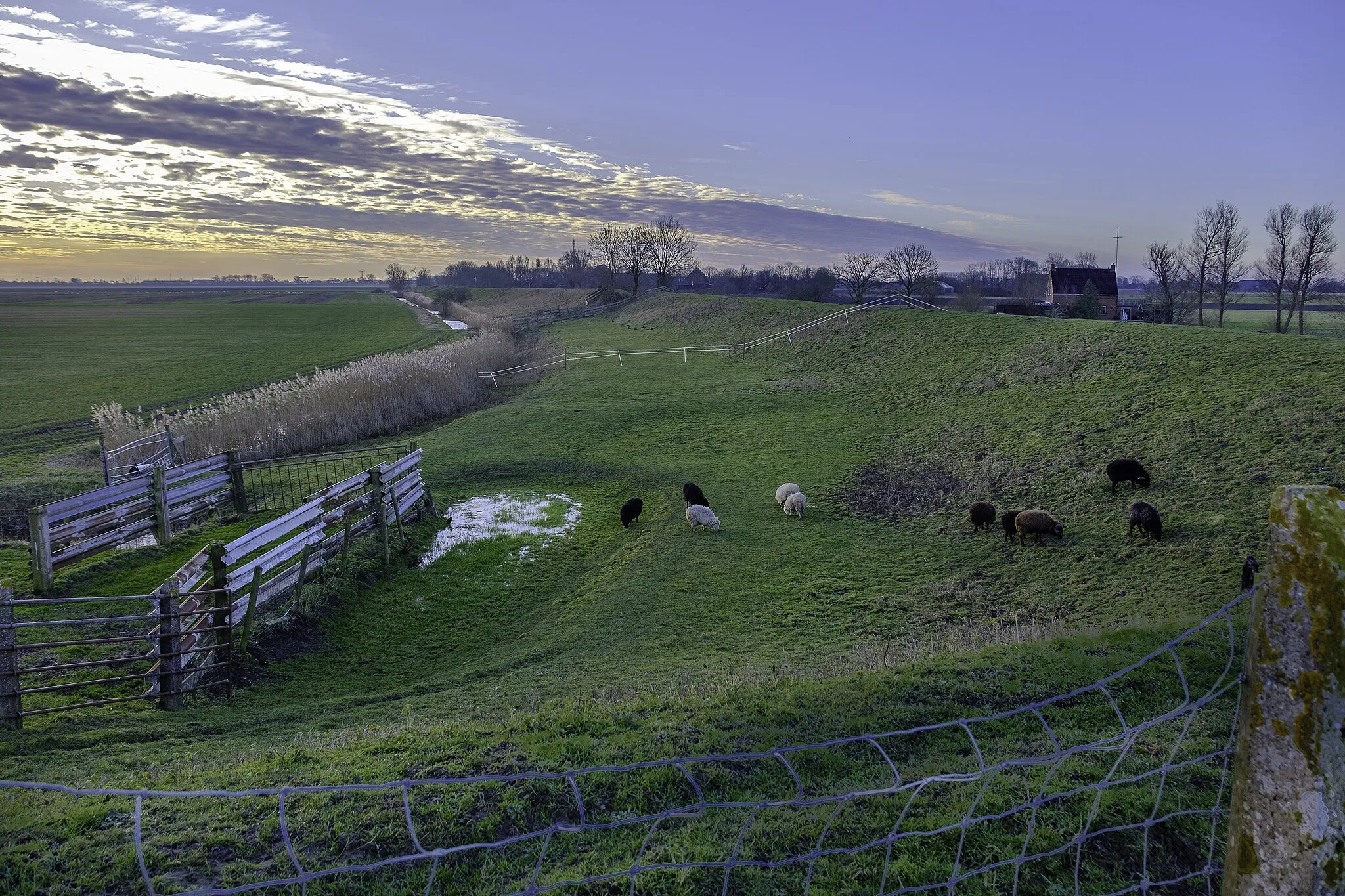 Photo showing: De oude slaperdijk bij Nieuwland