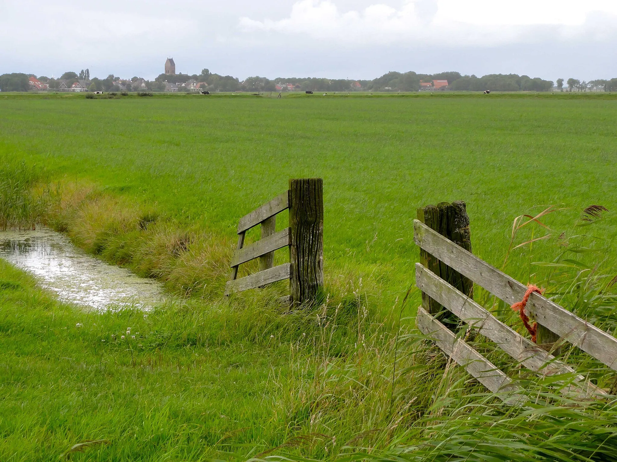 Photo showing: Zicht op Pingjum met de Sint-Victorkerk