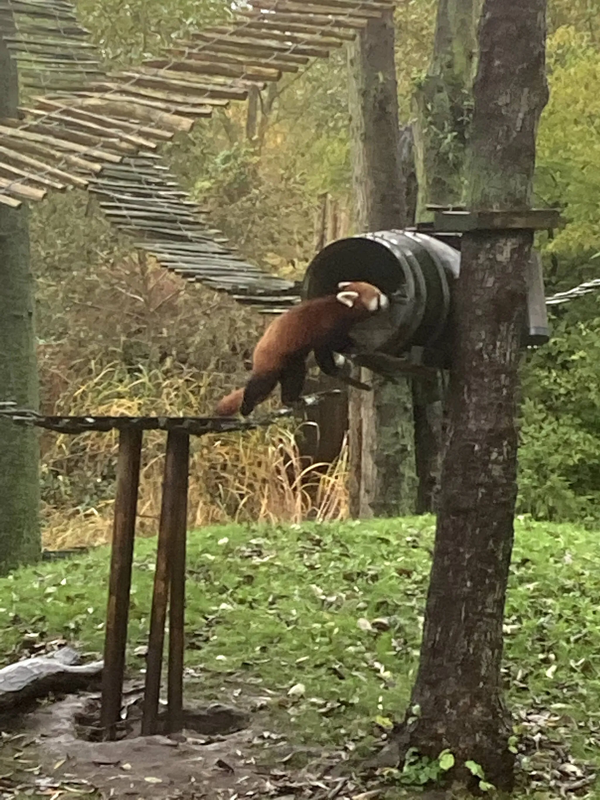 Photo showing: Aqua Zoo.Leeuwarden.GroteWielen Recreatiegebied De Groene Ster Dierentuin Watertuin