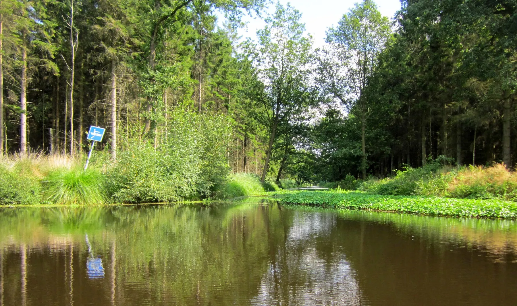 Photo showing: Compagnonsbos, Ravenswoud (West Frisian: Ravenswâld), Friesland, the Netherlands