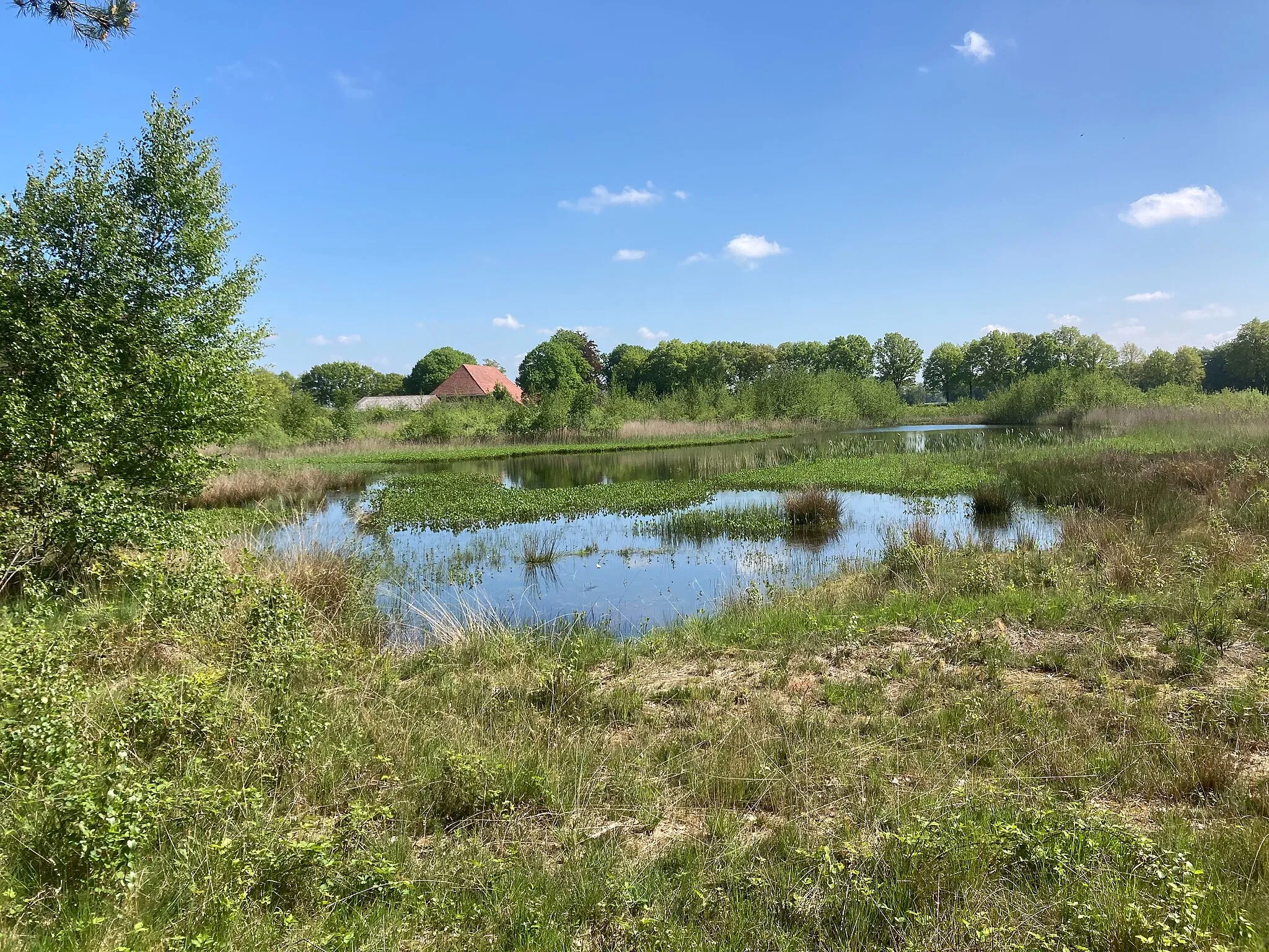 Photo showing: Bakkeveen Friesland heide en recreanten